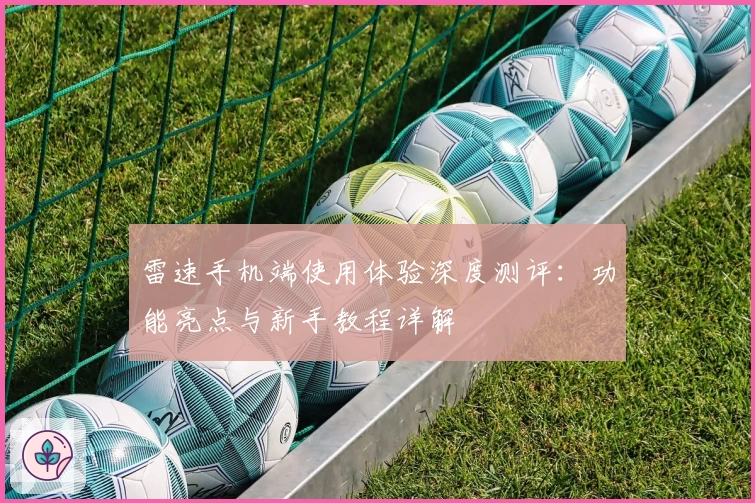 雷速手机端使用体验深度测评：功能亮点与新手教程详解