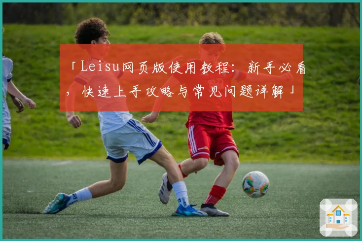 「Leisu网页版使用教程:新手必看,快速上手攻略与常见问题详解」