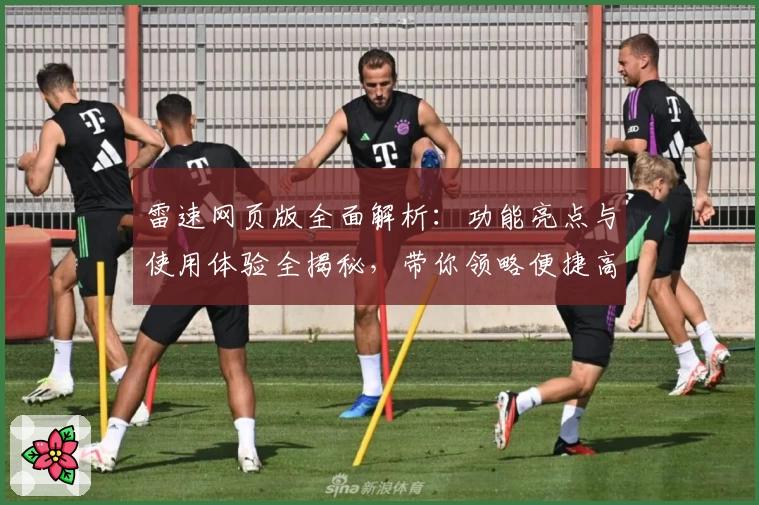 雷速网页版全面解析：功能亮点与使用体验全揭秘，带你领略便捷高效的新选择